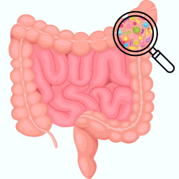 Why Gut Microbiome Matters